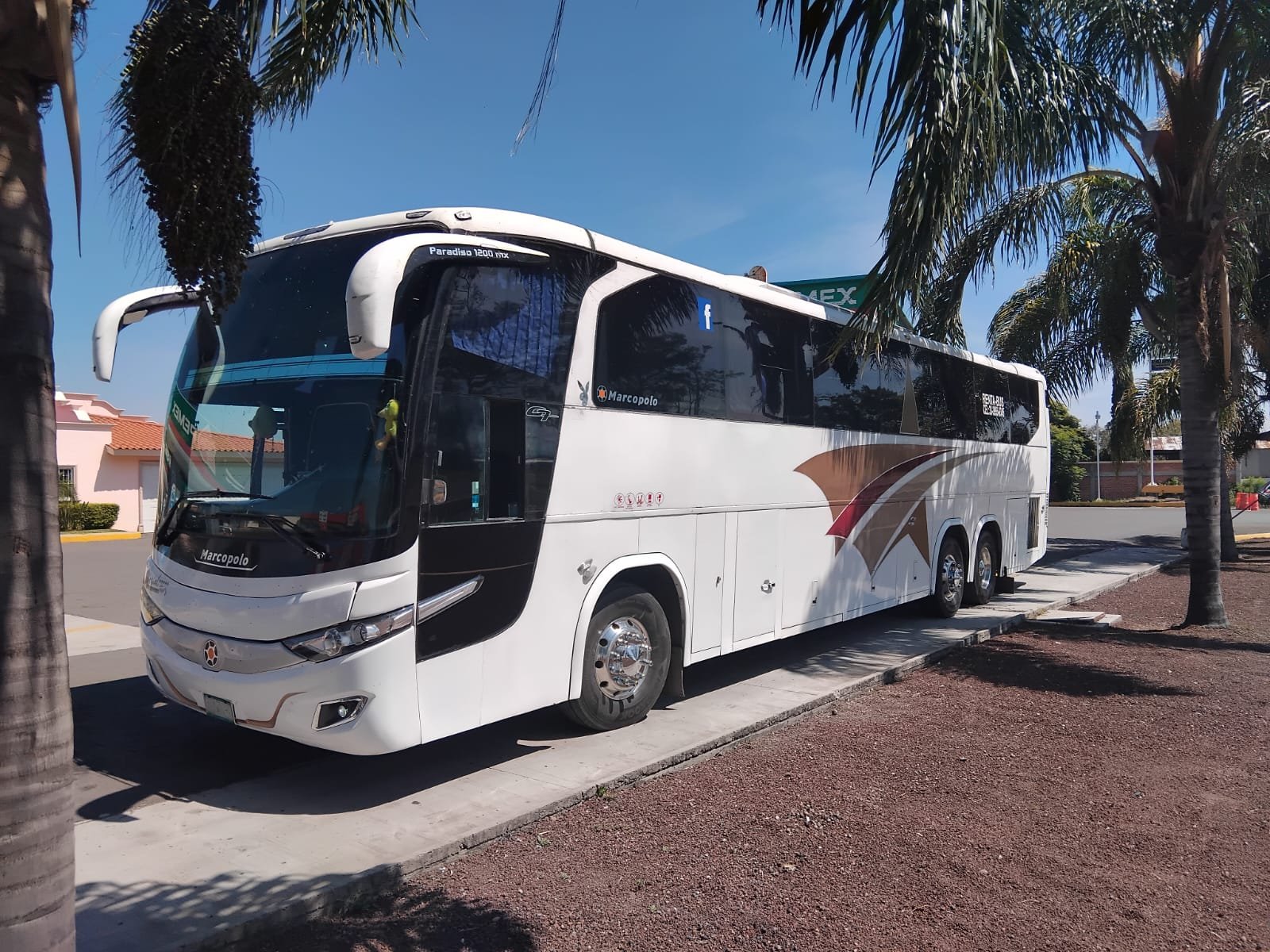 Camión Tour Jalisco 48 Plazas